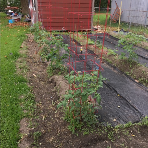 Meet your Posher, Gerald - Picture 9 of 16